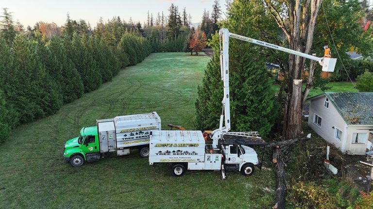 1414f9 818289774f514a4982ac0b2a6d3f4b03mv2 768x432