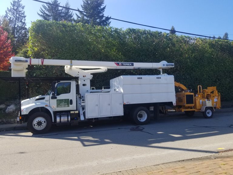 20191009 152631 768x576