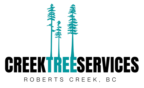 2023 01 1222 16 34 CreekTreeServicesLogo AdobeAcrobatReader64 bit
