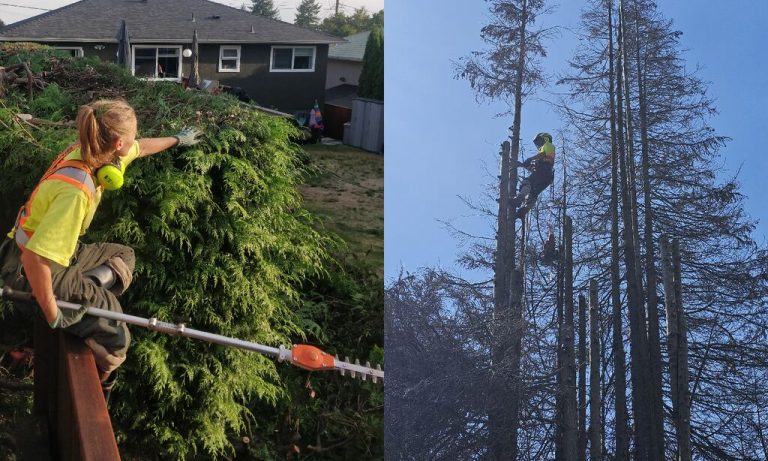 26528773e60bfaa44e6df2968c086290 768x461