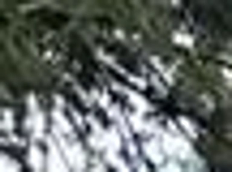 476500367 573691859040004 5344016320609139323  768x569