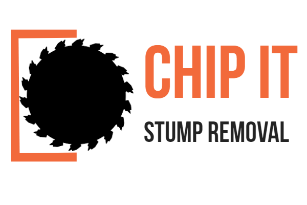 5fd41477469aa CHIP IT 600 400