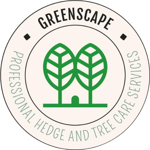 681bfe444199b2376356338a