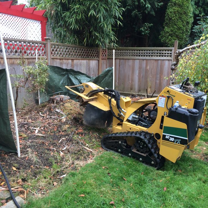 7f3dc5b3 4186 4504 984e 3ca19e92d6be