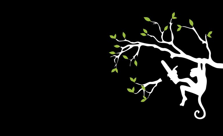 879ca4 21d8903743d94f83b7b139863778757fmv2 768x467