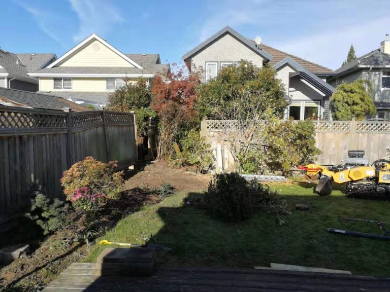 Alpine Tree Care 2177d9bd5505dfd8fe471804ba175a43 768x576