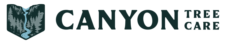 CanyonTreeLogo TitleSide MainColor 2048x405 1 768x152