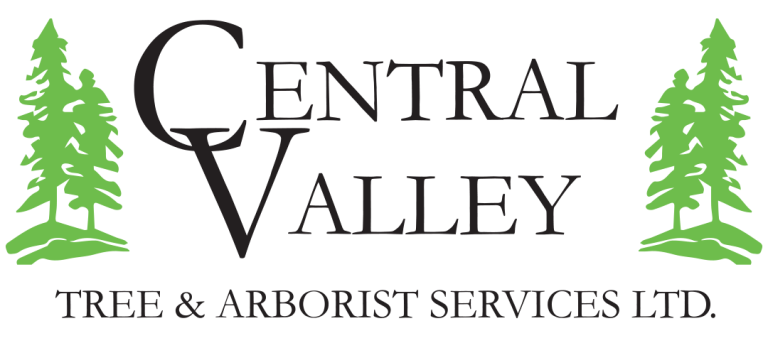 Current Logo 2 1 768x343