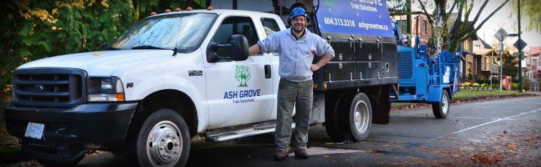 FRONT BANNER 768x238