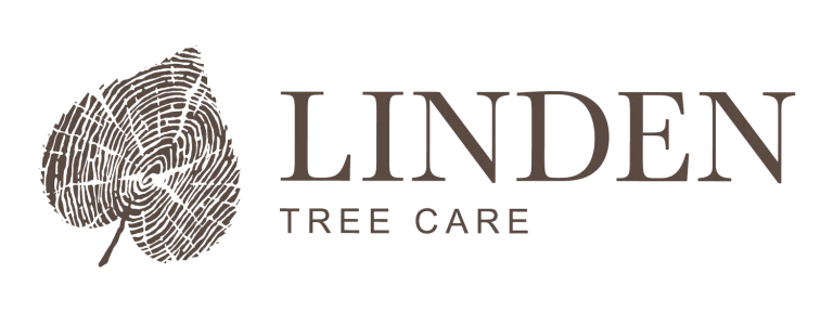 LindenTreeCare logo 02 768x300
