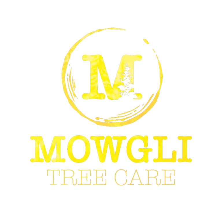 Lumii 20220818 204241781 768x768