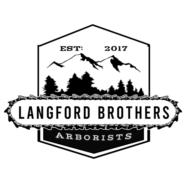 Main new logo 2024 768x768