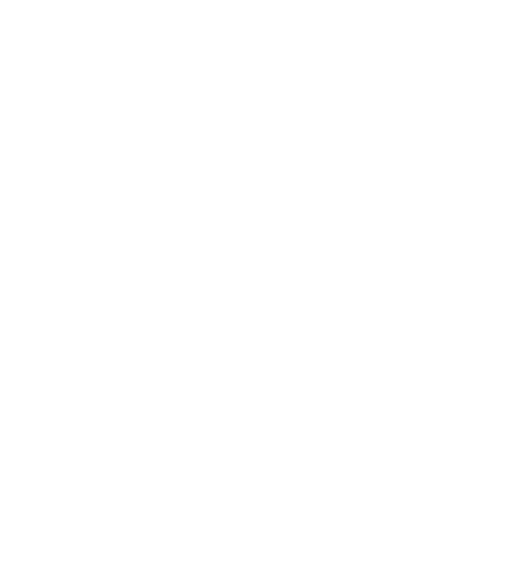 Pegasus Logo FullMark Whiteopaque