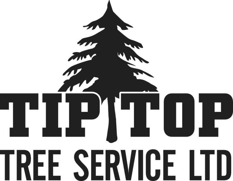 TipTop Tree logo black 1024x796 1 768x597