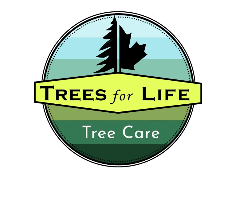 TreesforLifeLogo 768x653