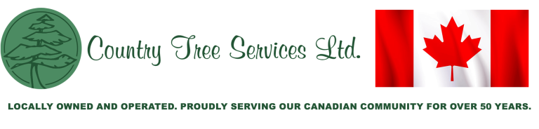 Untitled 122 768x184