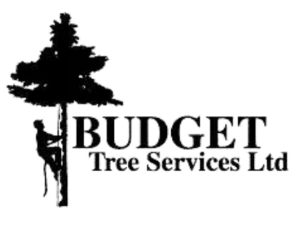 Untitleddesign edited