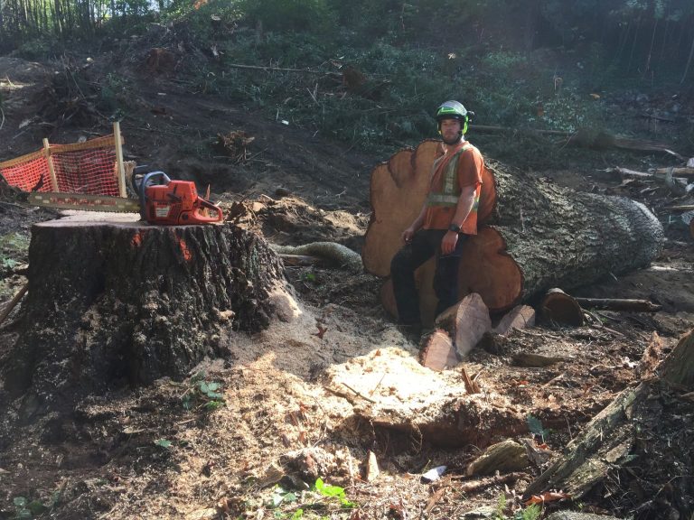 b8347cfc d817 4458 98c1 b35b187e195a 768x576