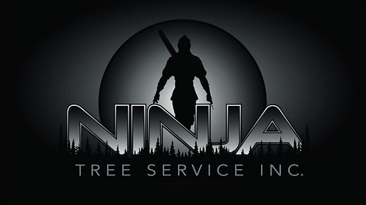 ba2cd3 2af2fe92e0c84b5d8ad88611159ad8f1mv2