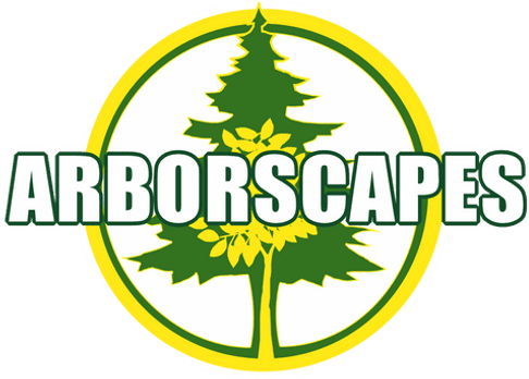 ba2cd3 362047ab18fe42a38f928a2fca25c447mv2