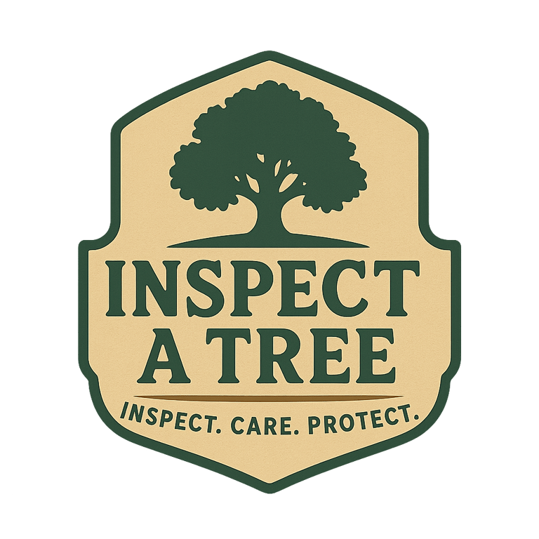 chatgpt image sep 3 2025 01 07 11 pm YrD4BDyk1vHBk931