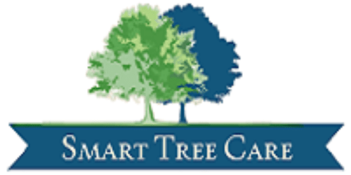 cropped My small LOGO