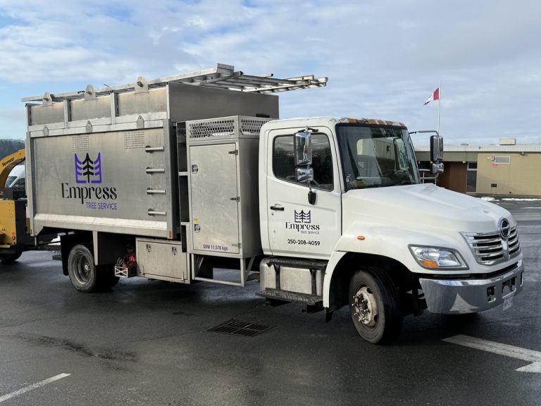 empress tree truck 768x576