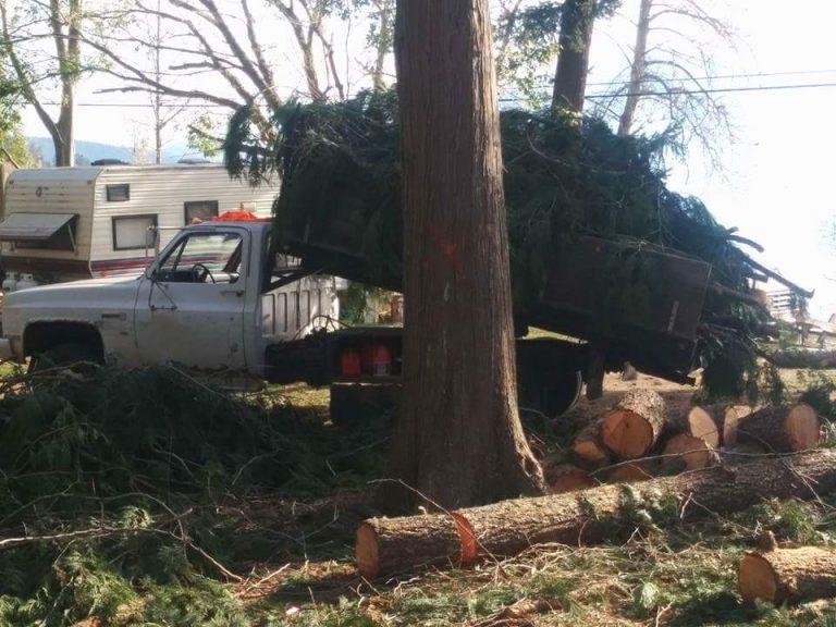 fb img 1487816936755 3 orig 768x576