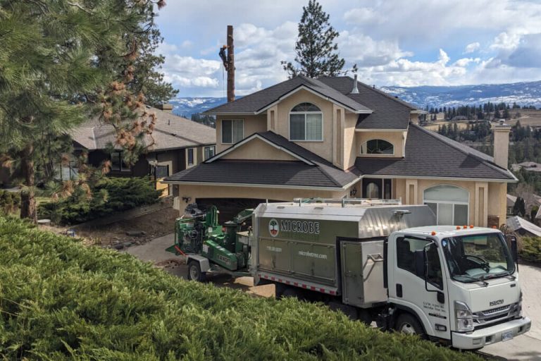 tree removal microbe truck residential 1024x683 1 768x512