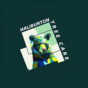 Haliburton Tree Care Copy 2