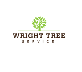 WrightTree logo