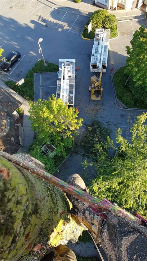 Field’s Tree Service Inc.