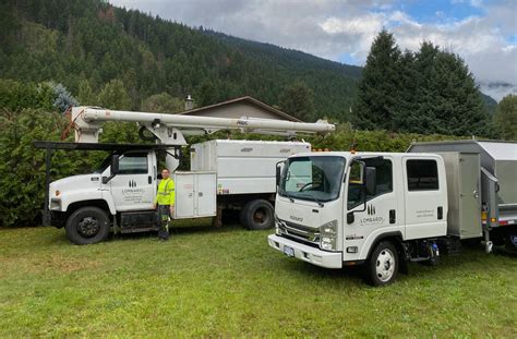Lombardi Tree Service