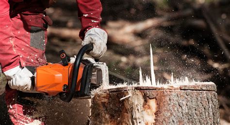 Mid Valley Tree Services
