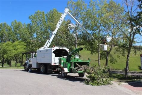 Precise Pruning Ltd