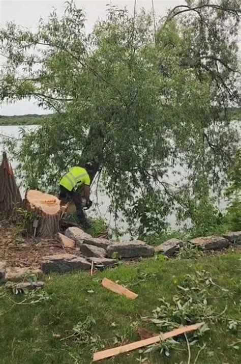 Shane’s Tree Service