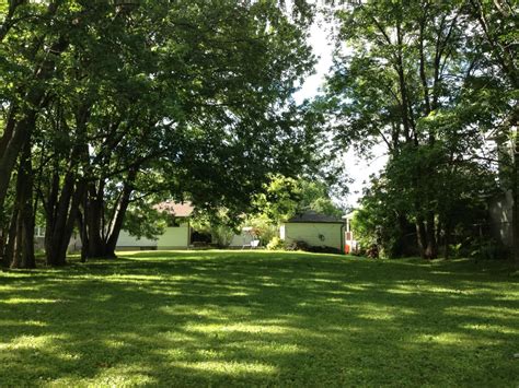 EVANS TREE WORK – Tree Service