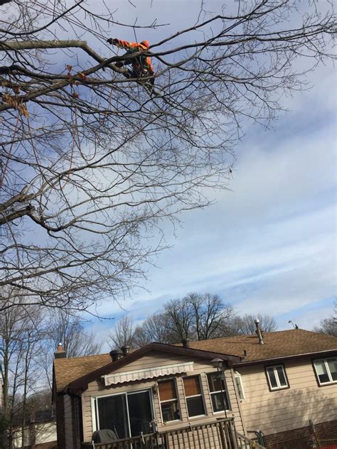 Tree North Inc.