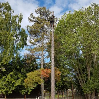 Oakstead Tree and Property Care