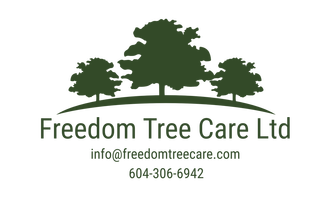 Freedom Tree Care