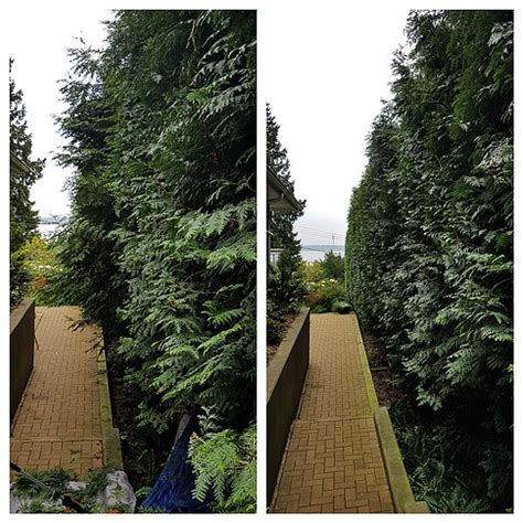 Hightree Work