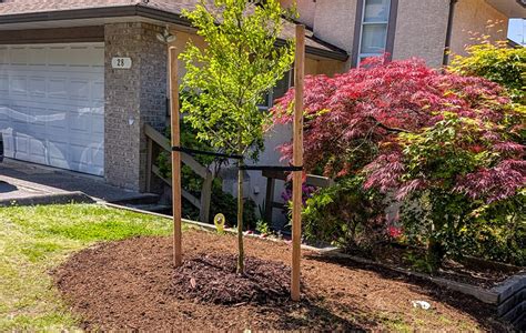 Roots & Connections Tree Service