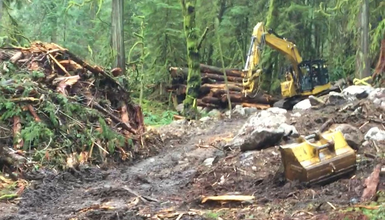 Trapp Arborist Services