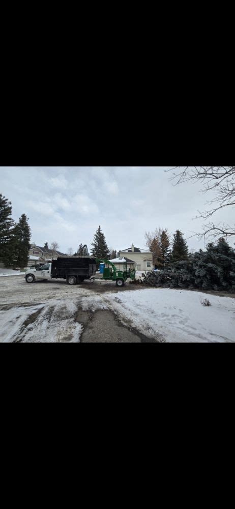 Take It Down Tree Service LTD.