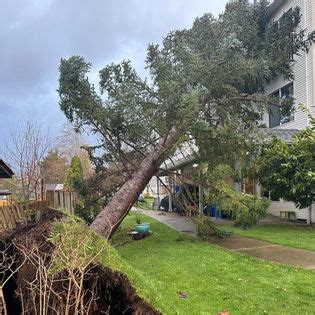 Vision Arboriculture Ltd.