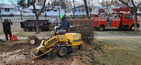 Razors Edge Tree Service Ltd.