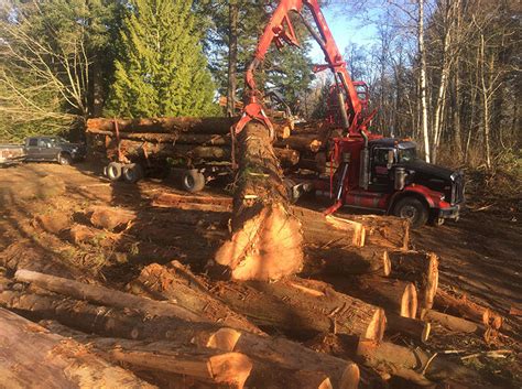 S A S Logging & Tree Service