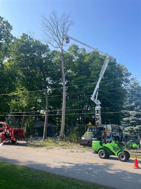 North Simcoe Tree Service