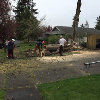Pacific Rim Tree Service
