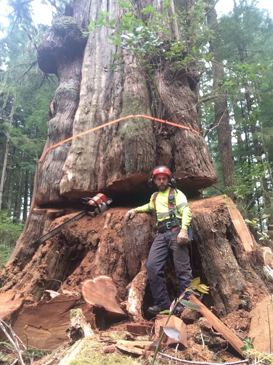 Sasquatch Tree Service